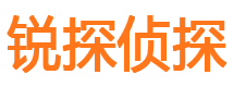 理县调查公司